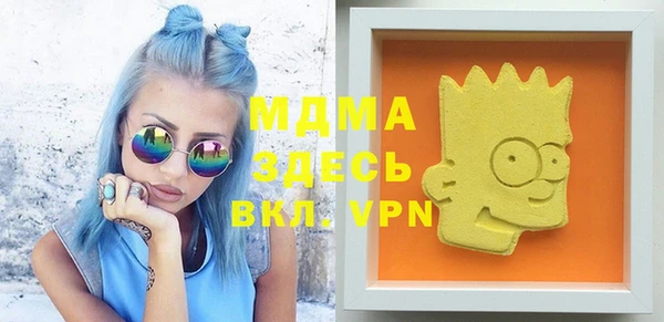 шишки Богородицк