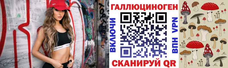 Купить где  Козельск  Псилоцибиновые грибы Psilocybine cubensis 